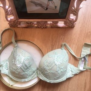 Italian Plunge Lightly lined Bra with embroidery